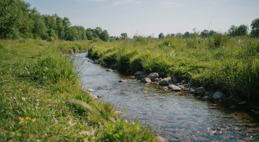 Restrictions temporaires des usages de l'eau